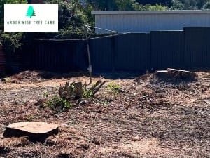 Stump removal Armadale WA 1