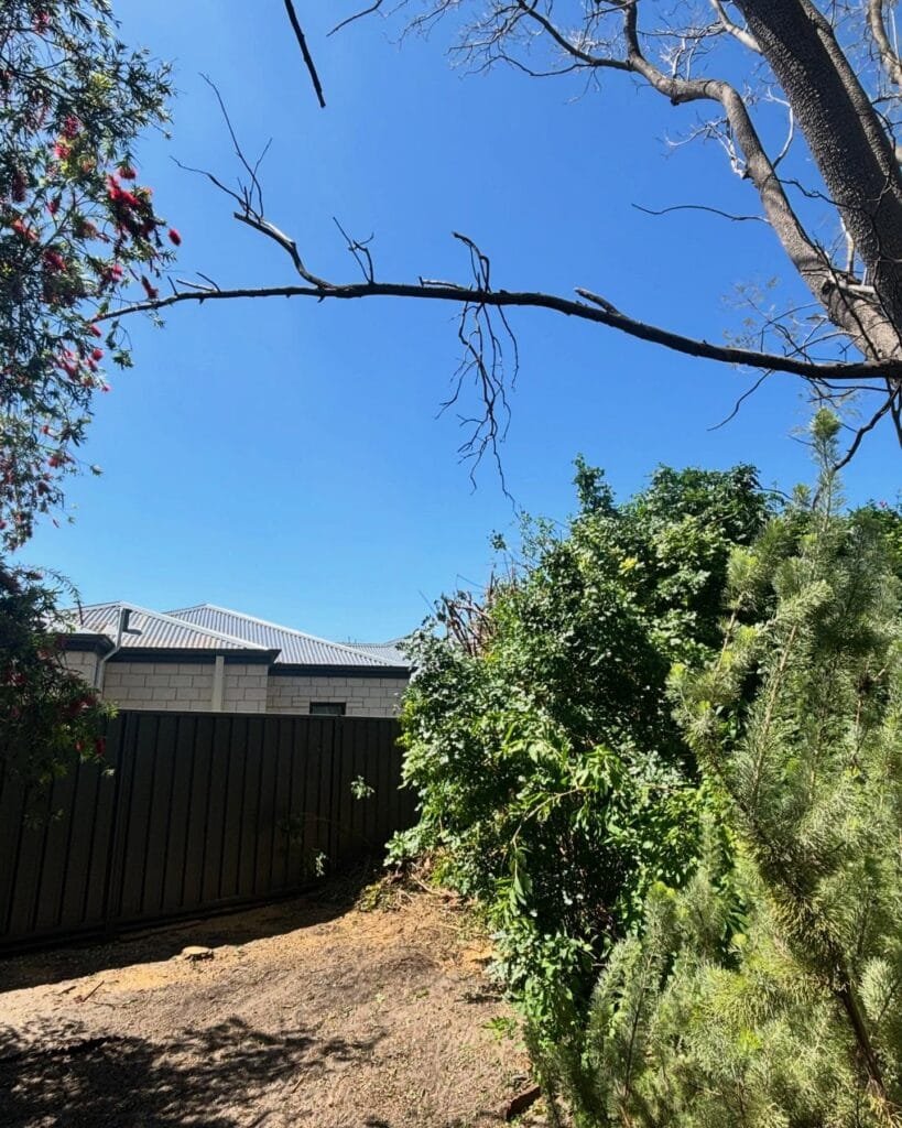 Brush Removal Armadale