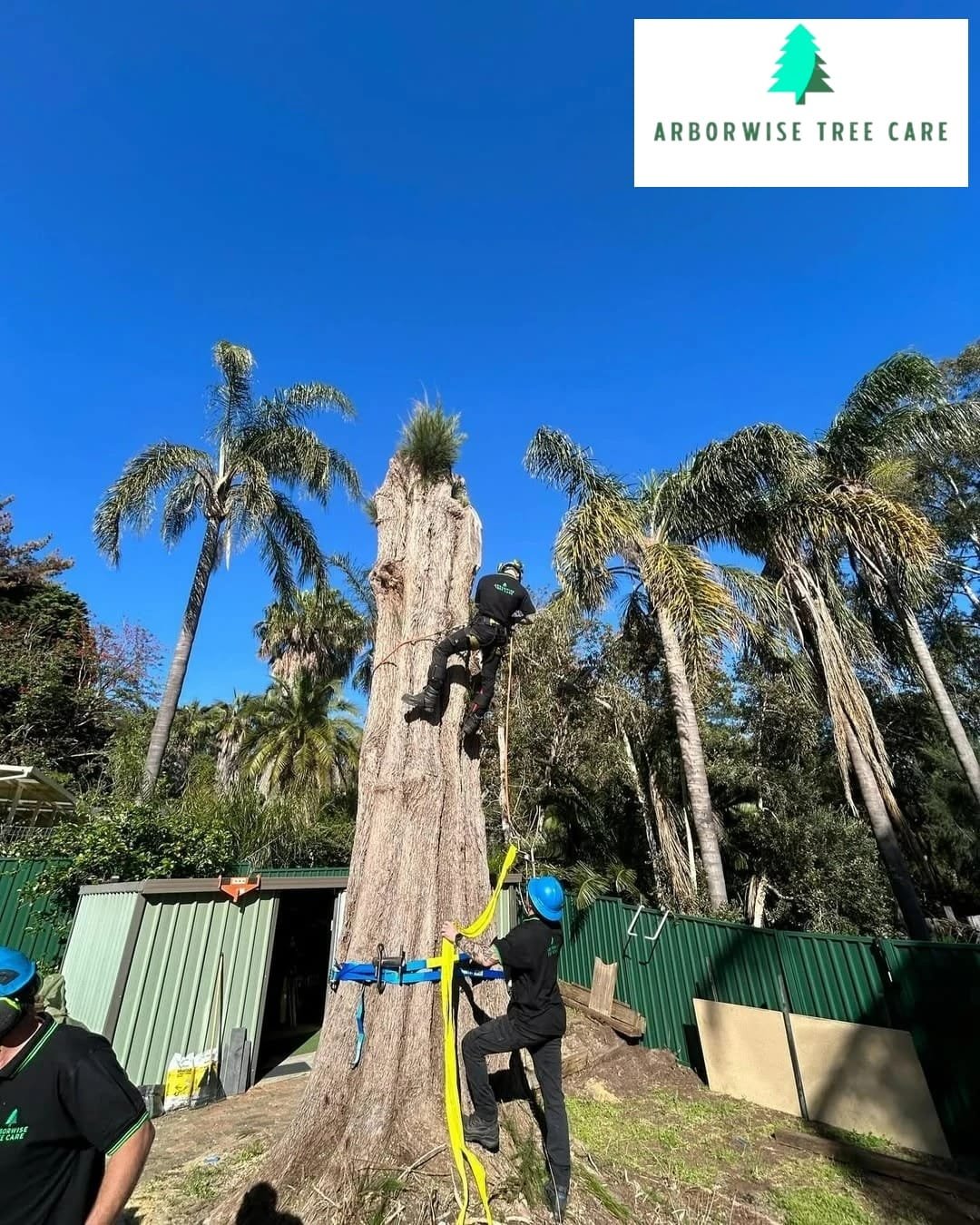 Tree Removal Armadale WA