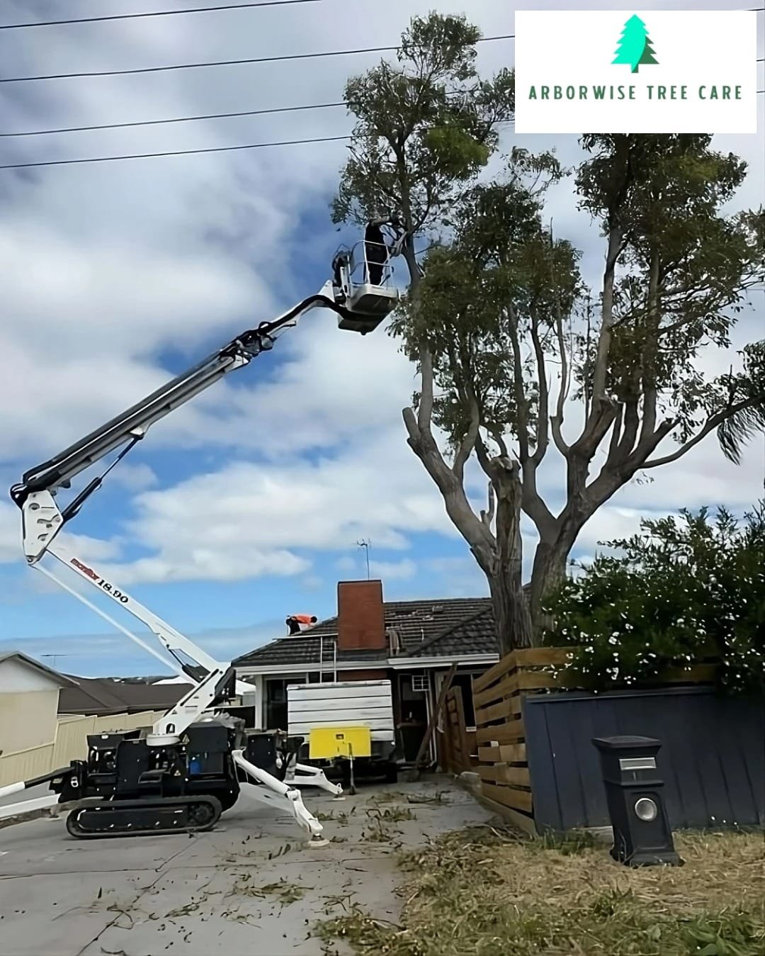 Tree Trimming Armadale WA