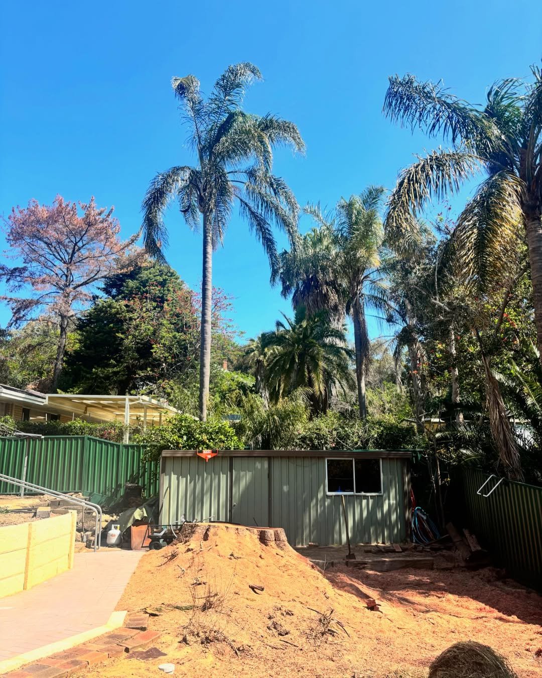 Stump Grinding City of Cockburn