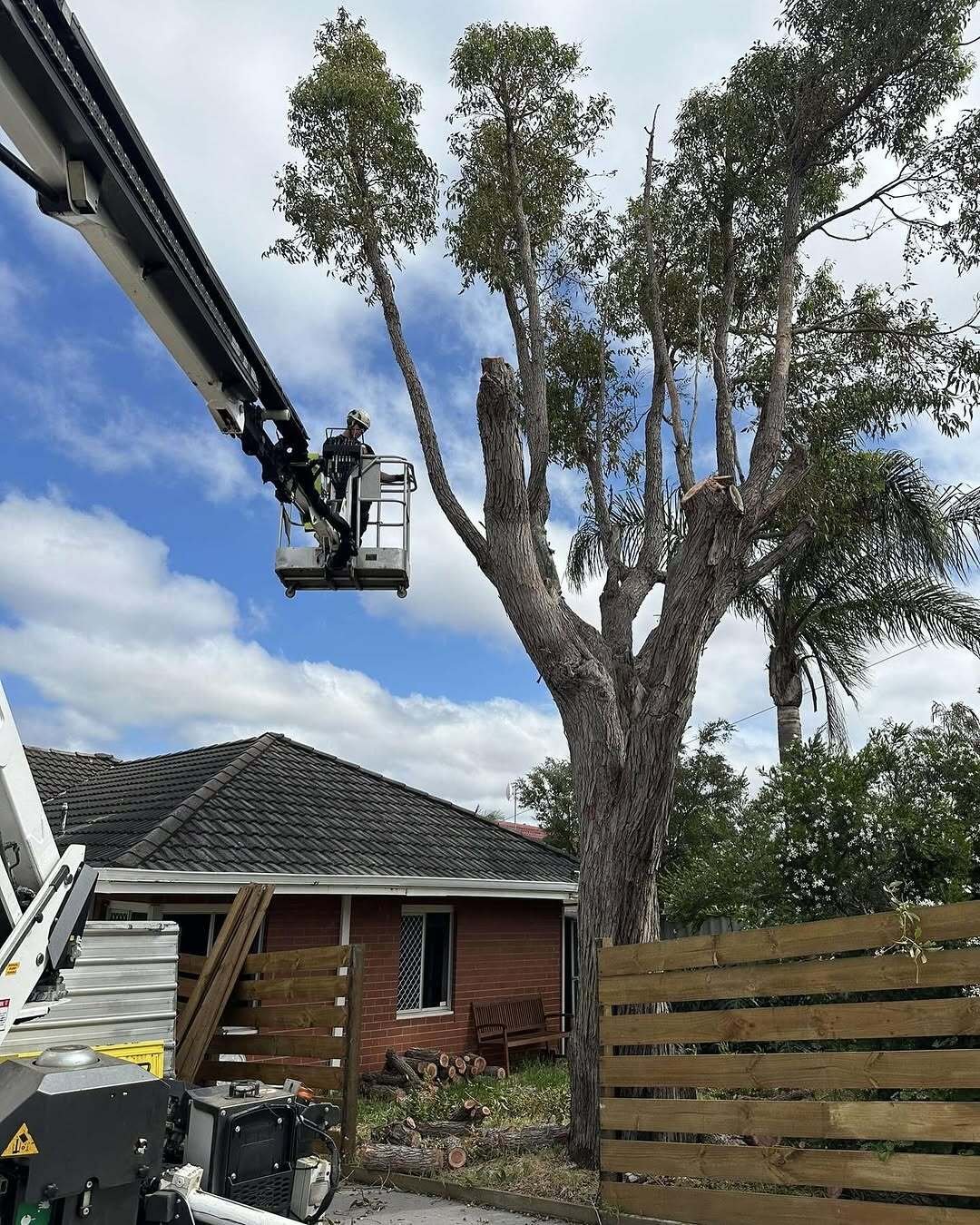 Tree Lopping City of Cockburn