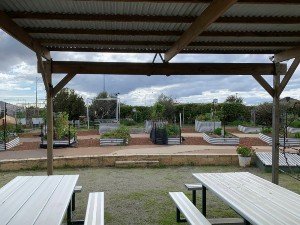 Brighton Community Garden