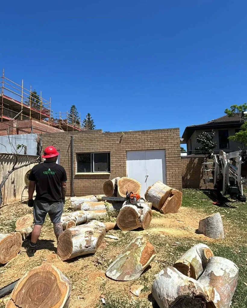 Butler Arborwise Tree Care 9 Land clearing Butler WA