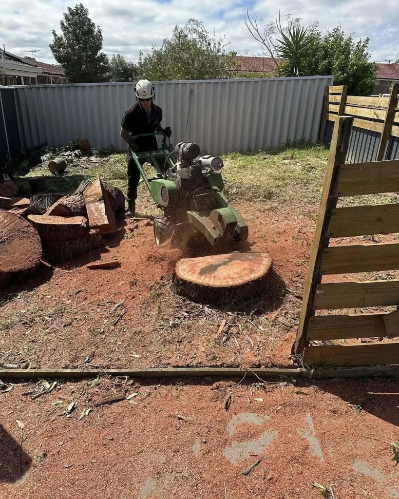 Stump grinding Butler