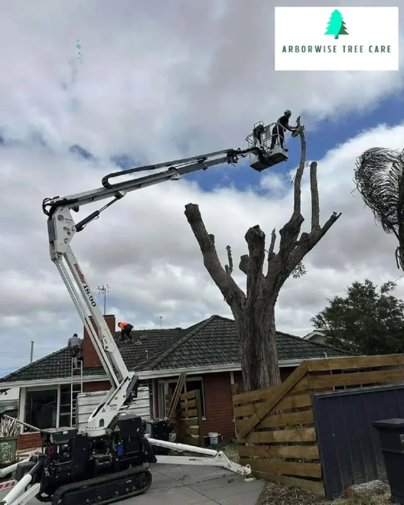 emergency tree service armadale