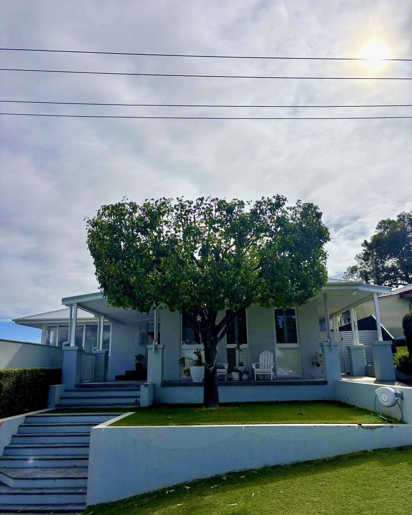 Arborwise Tree Care team working on tree service in Armadale