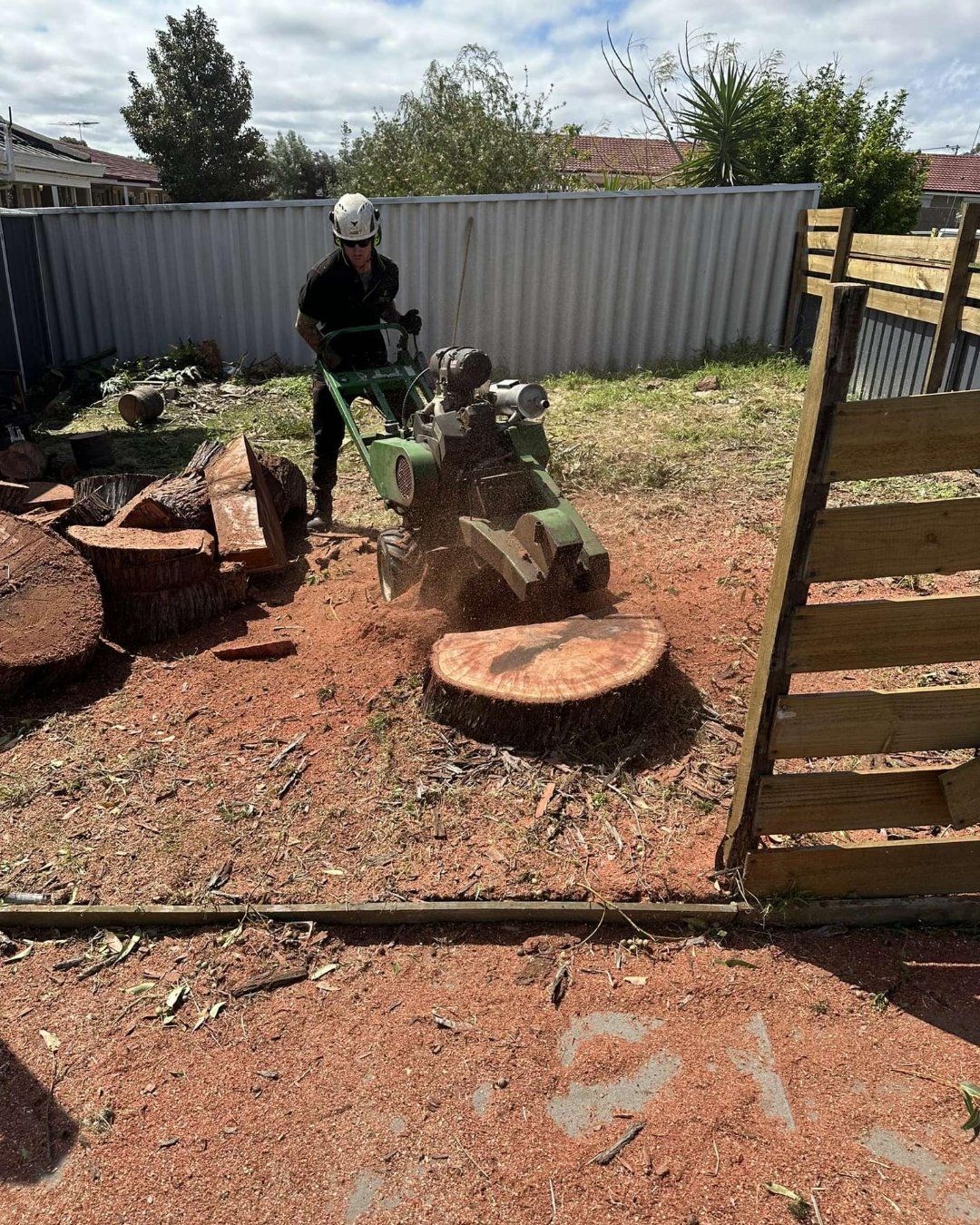 Stump grinding services in Mount Hawthorn