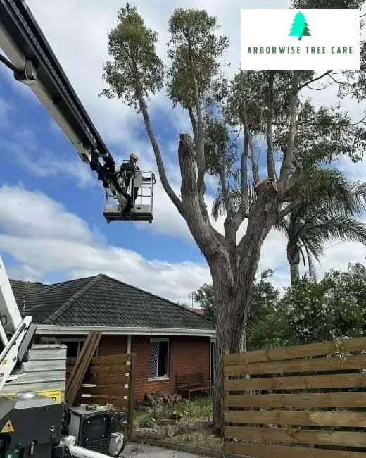 Armadale Tree Lopping Armadale Tree Lopping