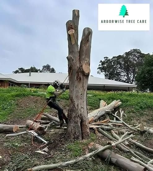 Armadale Tree Removal