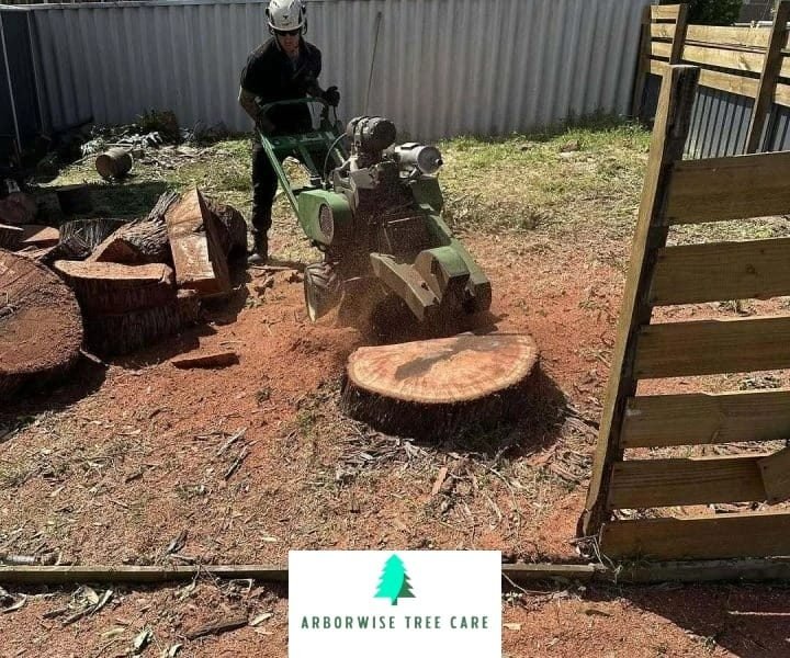 Armadale Tree Stump Removal