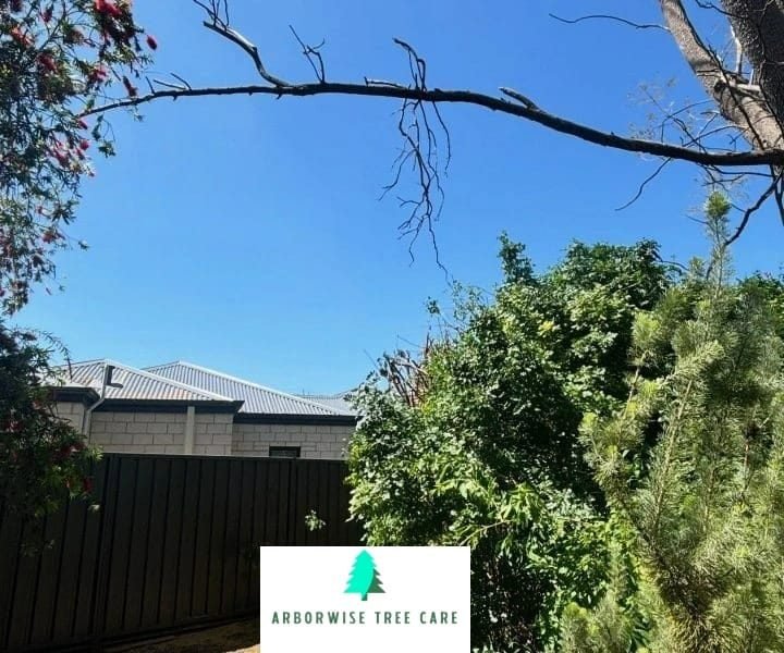 Brush Removal Armadale