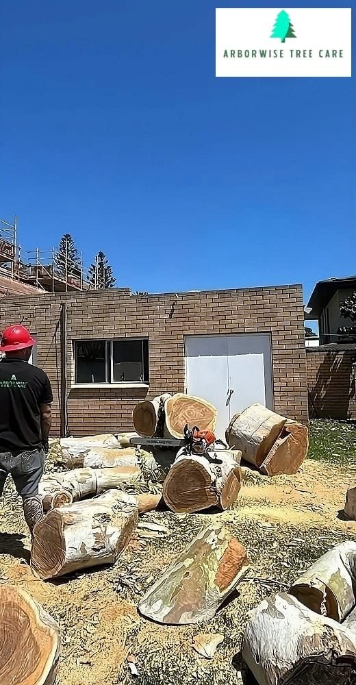 Tree Stump Removal Armadale
