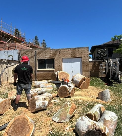 Qualified Arborist Coolbellup WA services