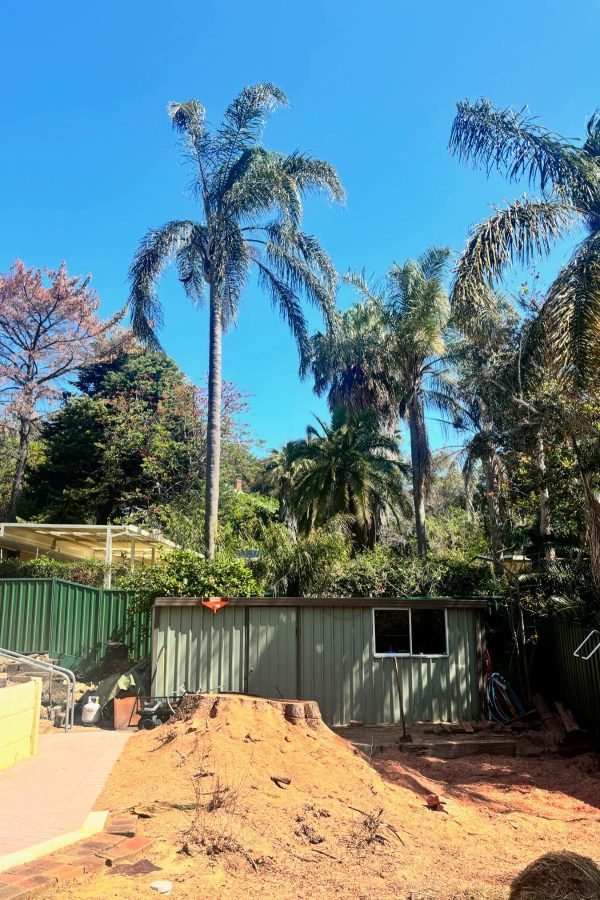 Arborwise Tree Care performing stump removal in Armadale
