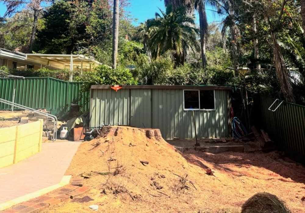 Before and after stump grinding Kelmscott WA property