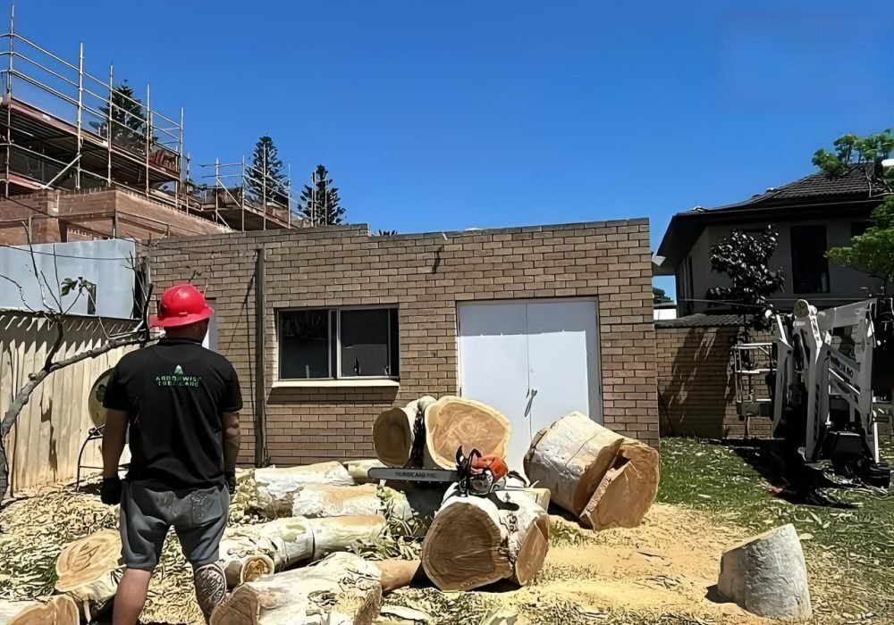 Before and after tree removal service in Kelmscott WA