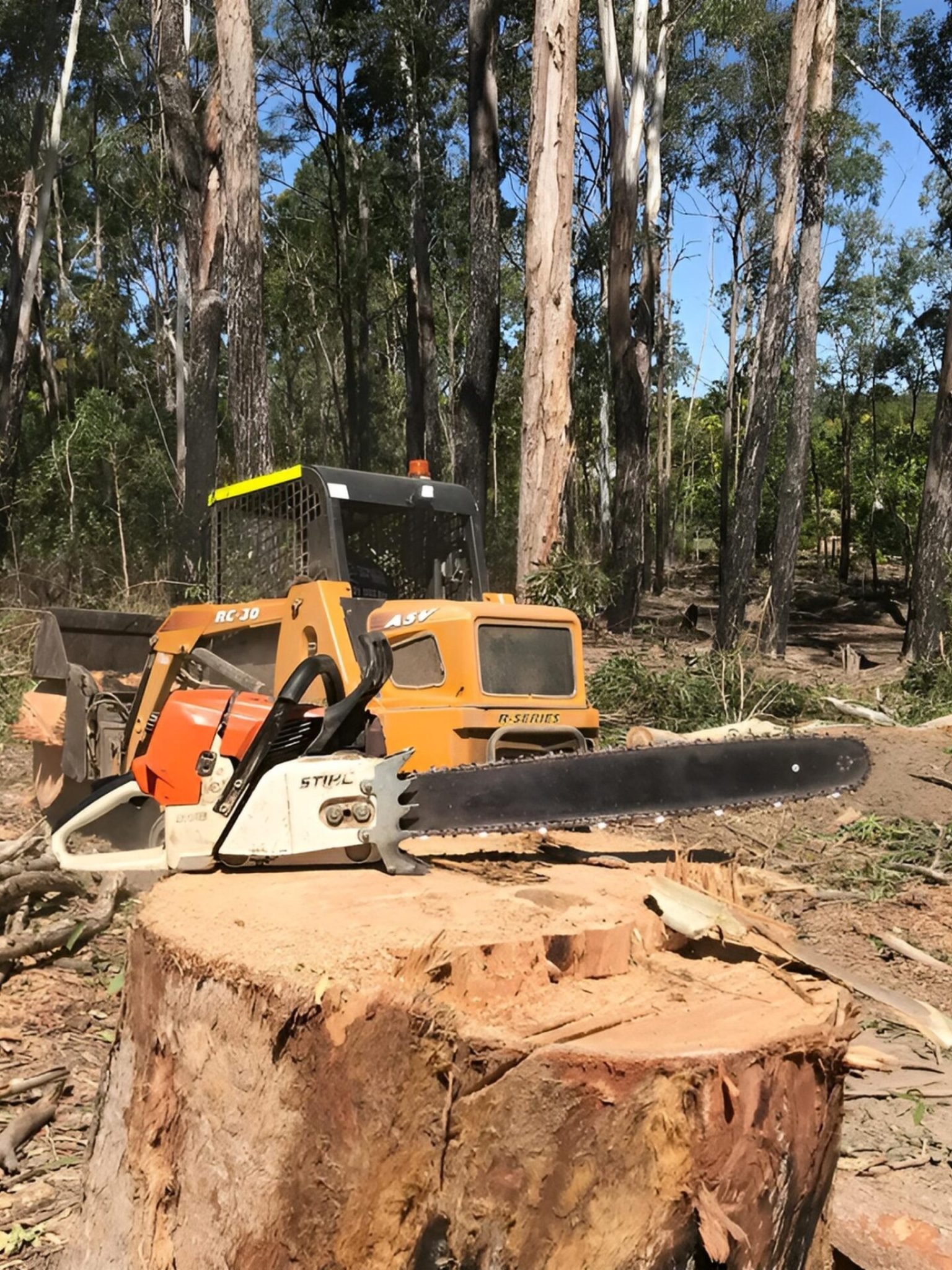 Tree removal and stump grinding service in Kelmscott WA